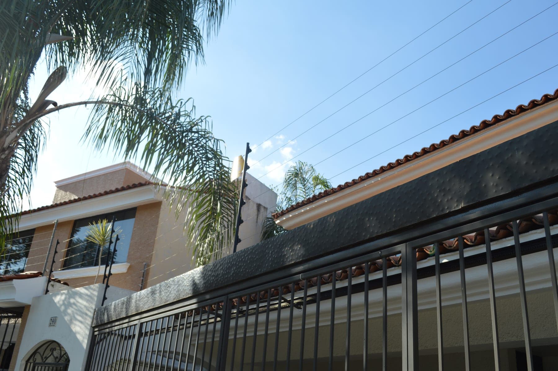 Cerca eléctrica sobre la barda de una casa con palmera y portón de herrería negra