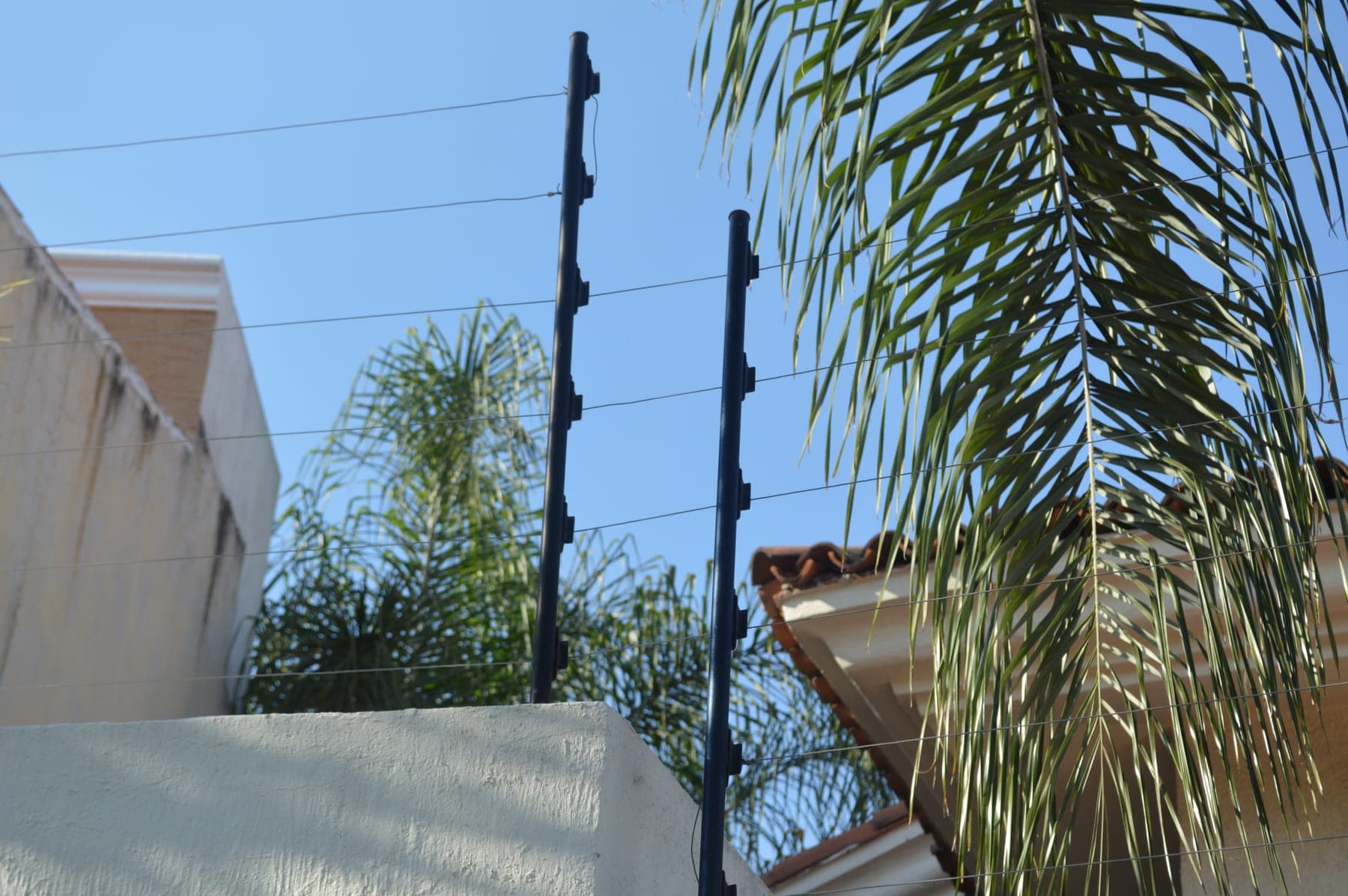 Postes negros de cerca eléctrica entre palmeras sobre una barda