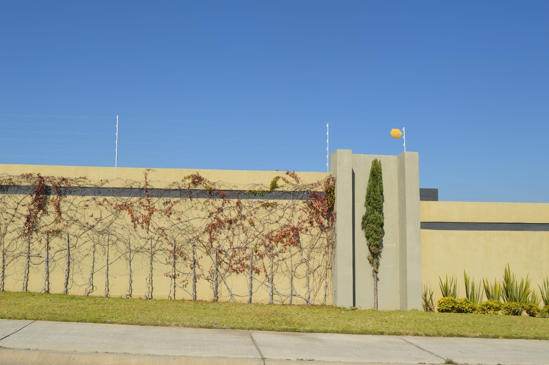 Cerca eléctrica en la barda de una residencia, con ciprés y portón al fondo